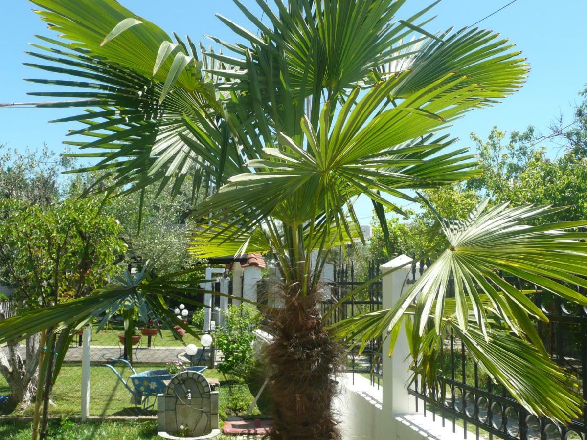 Kallilkratia Holiday Flat 2 Nea Kallikrateia Εξωτερικό φωτογραφία